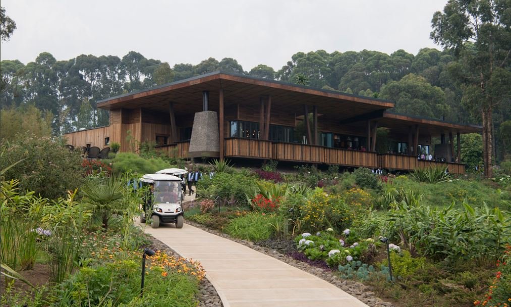 oneonly Nyungwe house